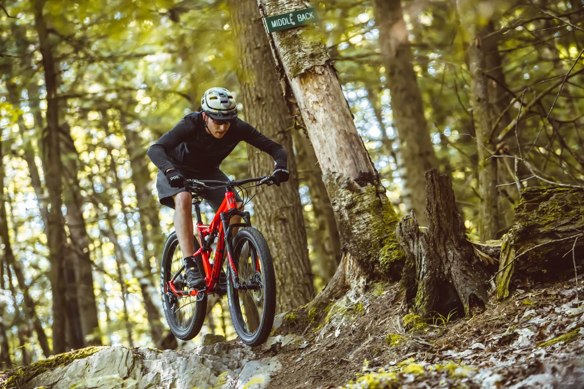 Trail