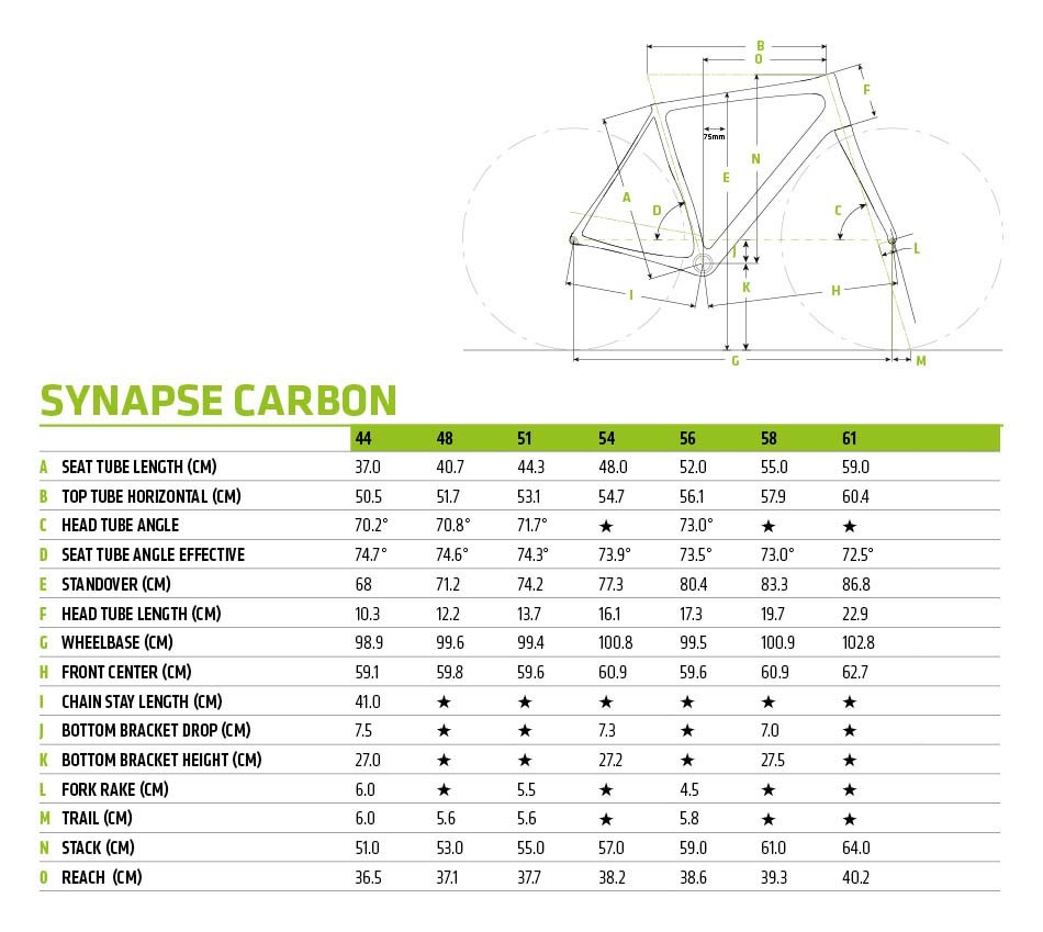 Synapse Carbon Disc 105 - 
