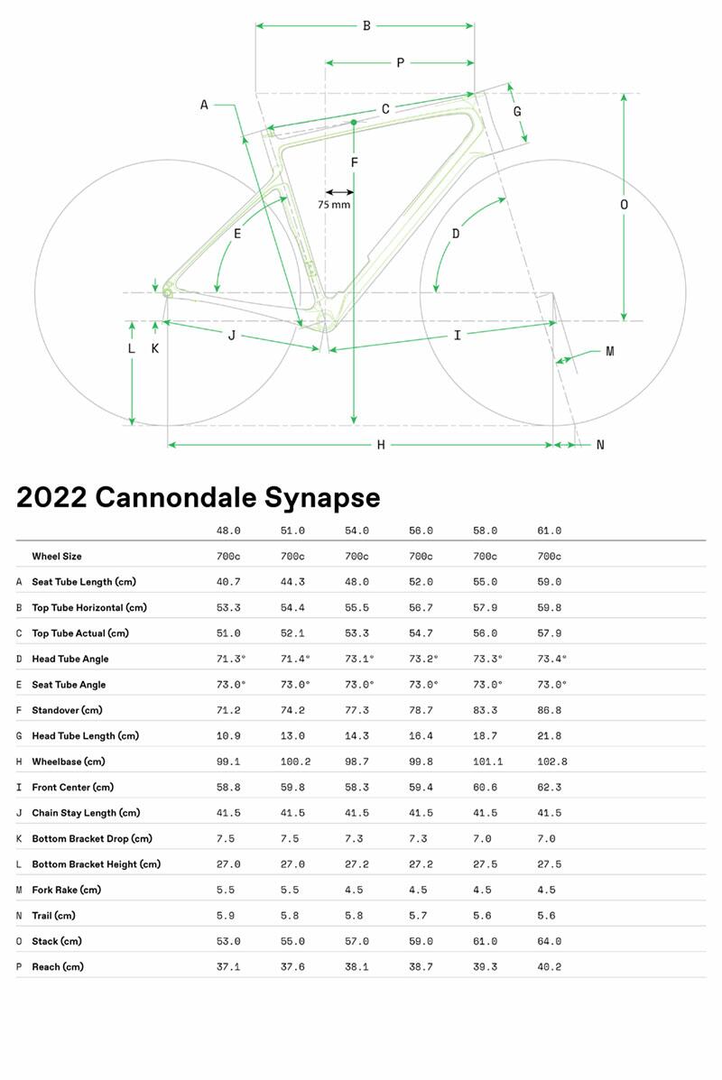 Synapse Carbon 4 - Geometrie