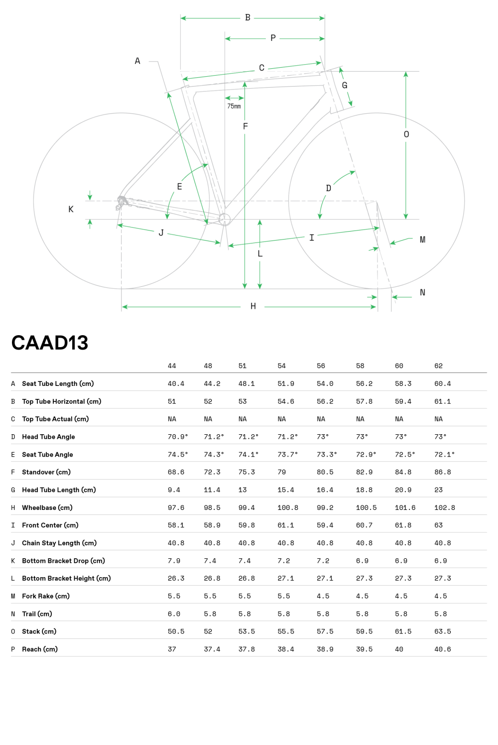 CAAD13 Disc Tiagra - Geometrie