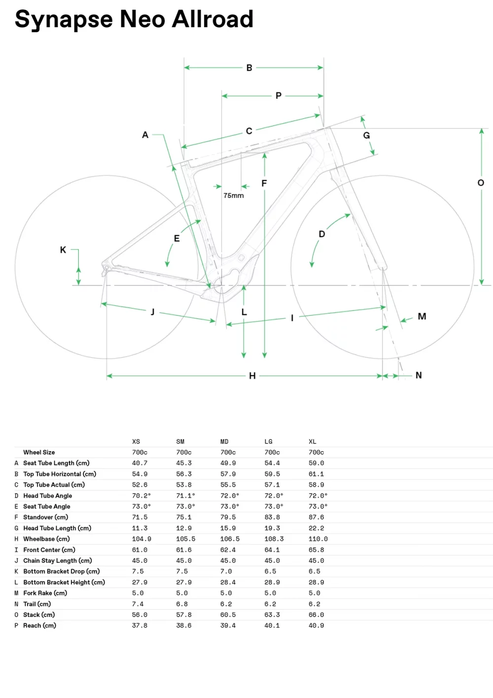 Synapse Neo Allroad 2 - Geometrie
