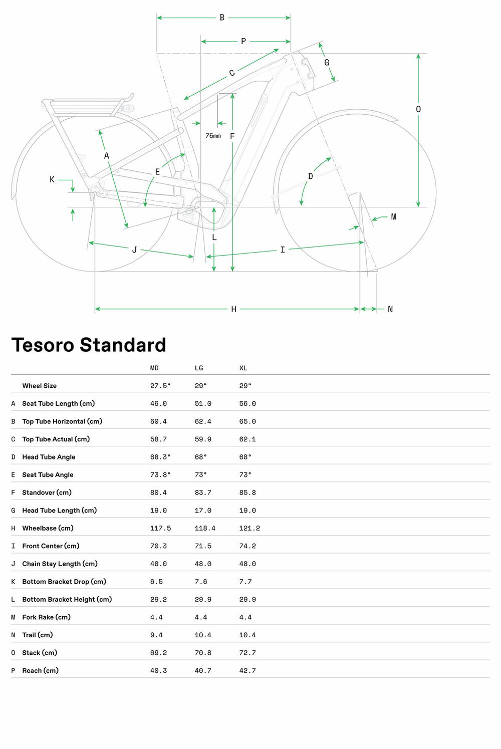 Tesoro 2 - Geometrie
