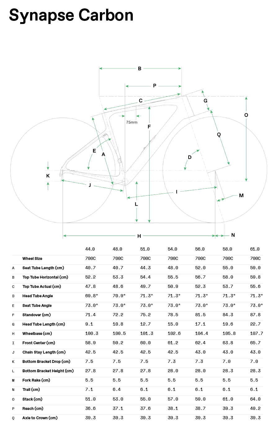 Synapse Carbon 2 - Geometrie
