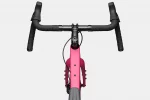 Topstone Carbon Apex AXS - Orchid