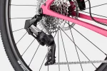 Topstone Carbon Apex AXS - Orchid