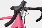 Topstone Carbon Apex AXS - Orchid