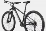 Trail 2 - Black