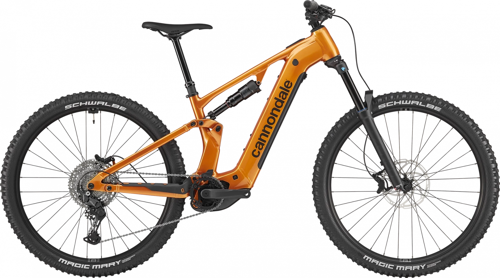Moterra 4 - Tiger Eye
