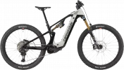 Moterra 1 - Tiger Shark