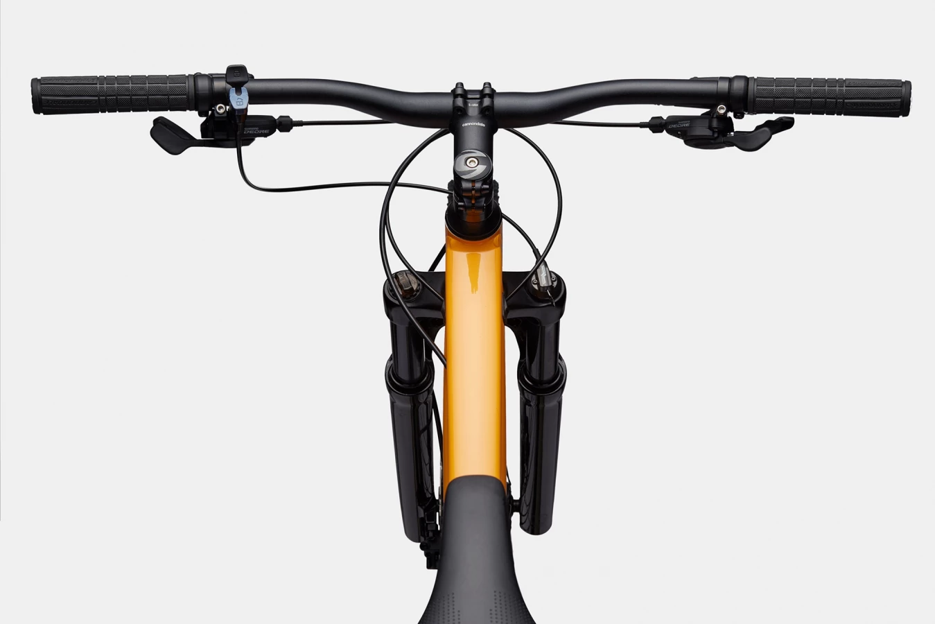 Trail 5 - Mango